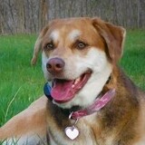 Entry image for Cheyanne