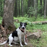 Entry image for Cora