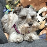 Entry image for Bailey