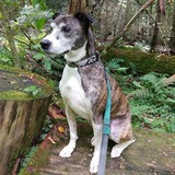 Entry image for Sally