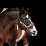 Entry image for Cowboy
