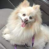 Entry image for Kiki