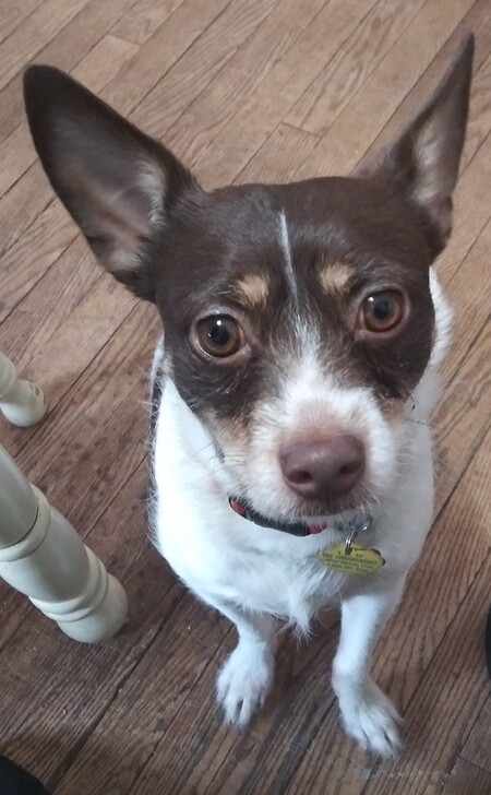Entry image for Charlie. Clicking this image will show a larger photo