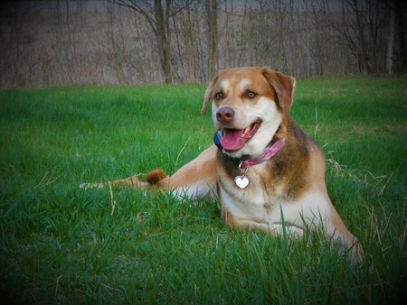 Entry image for Cheyanne. Clicking this image will show a larger photo