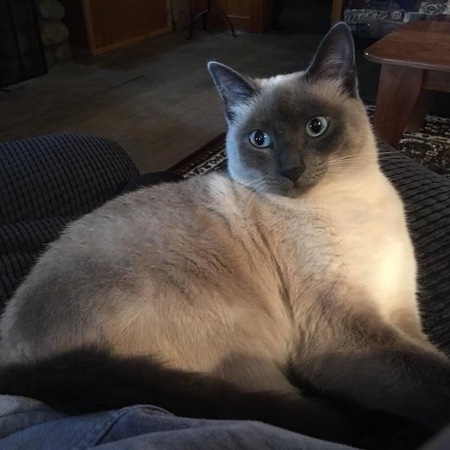 Entry image for Kiki. Clicking this image will show a larger photo