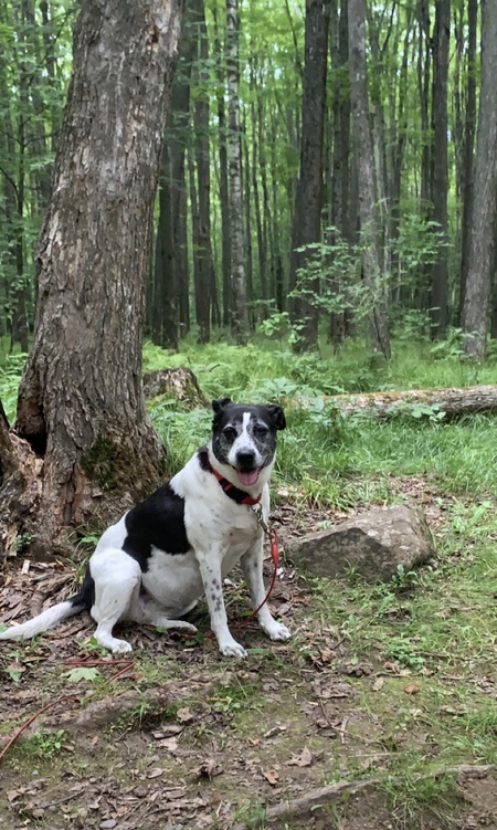 Entry image for Cora. Clicking this image will show a larger photo