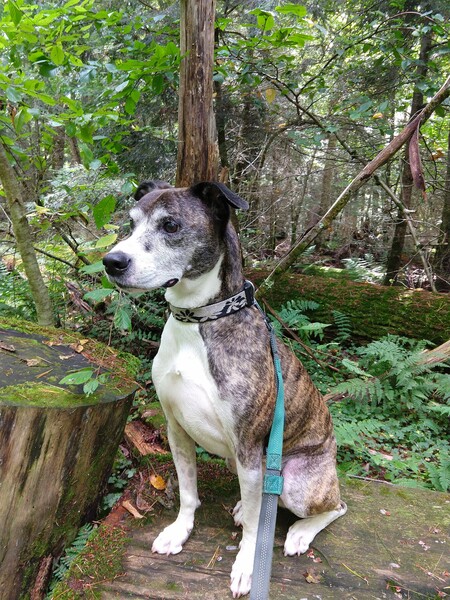 Entry image for Sally. Clicking this image will show a larger photo