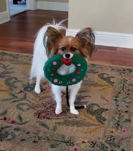 Boo