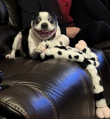 Kylo