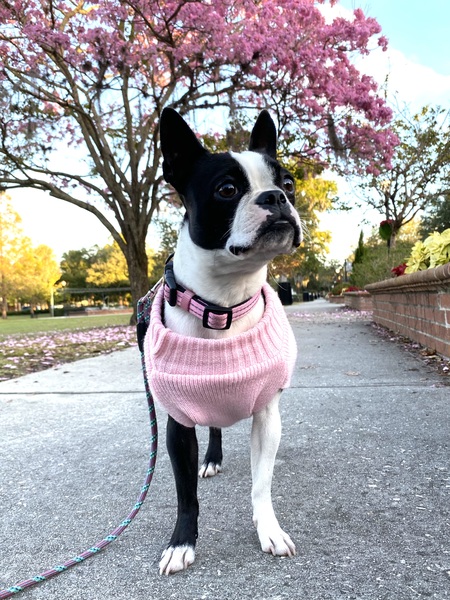 Betty