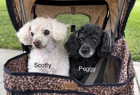 Scotty & Peggy