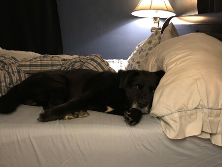Charlie