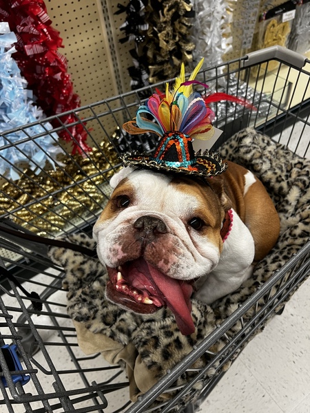 Gertie Lou