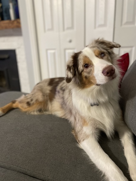 Penny