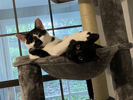 Ghost & Baked Beans