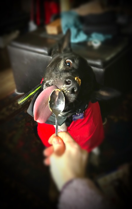 Mishka