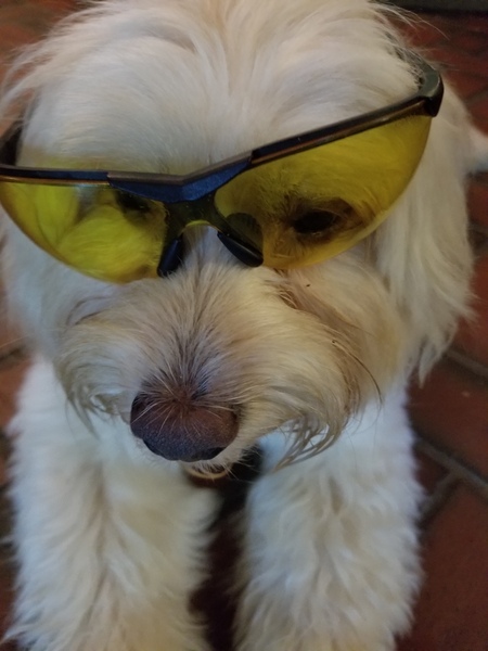 Marley