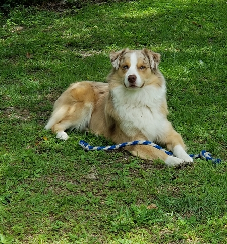 Roscoe