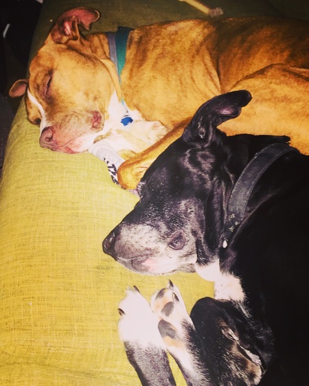 Charlie, Ellie