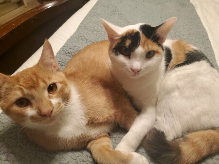 Zila & Oren