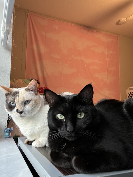 Lexi and Misha
