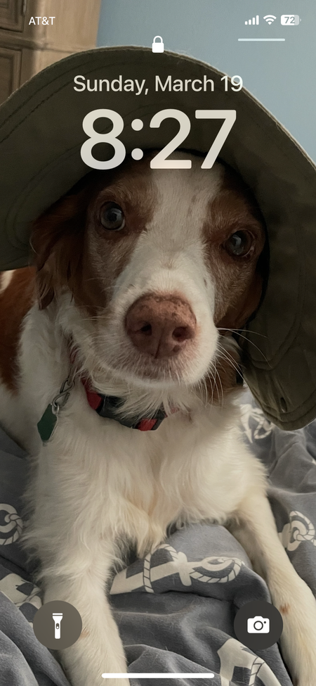 Sadie 