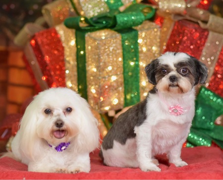 Lizzie Lou and Tina Marie