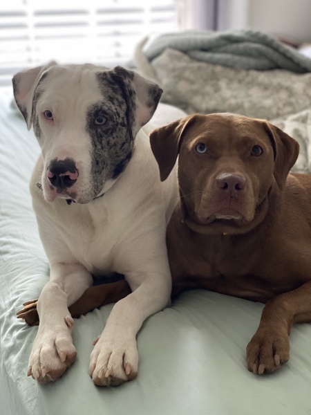 Huckleberry & Vada Jane