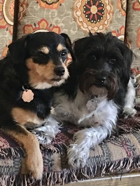 Buddy and Jaz