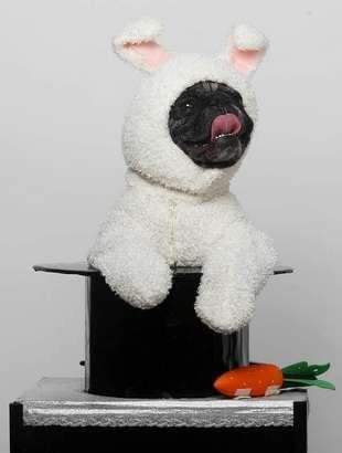 Pugsly