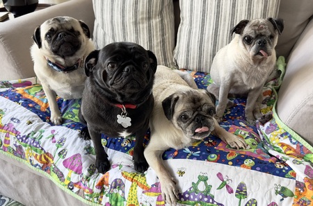Bentley-Cory-Sophie-Theo