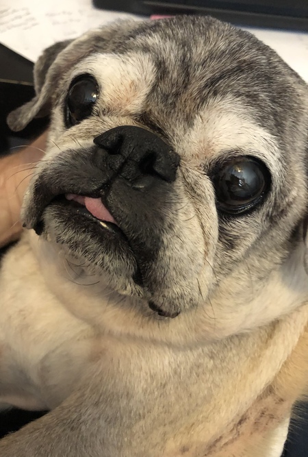 Max
