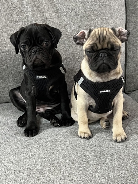 Maggie and Charlie