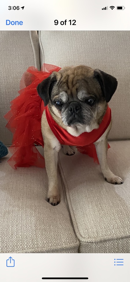 Princessa