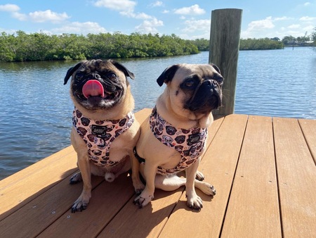 Butters (L) and Betty (R)