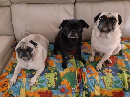 Frankie, Georgia & Sonny Jim