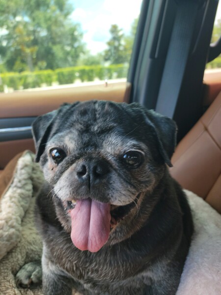 Petey