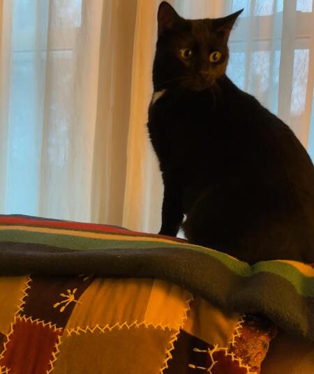 Tia (Rowena)