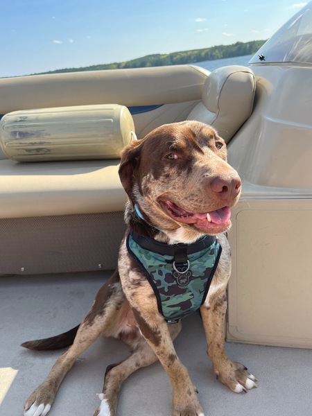 Gunner