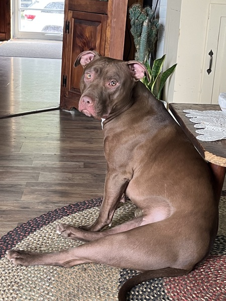 Bella