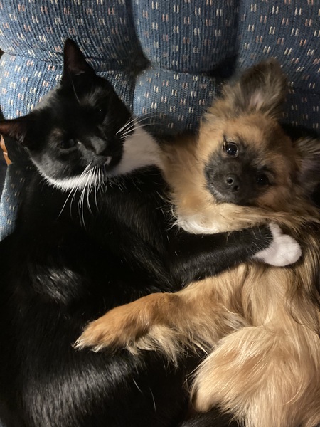 Todd and Wolfie