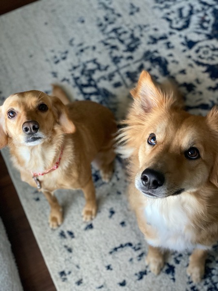 Kuma & Hadley