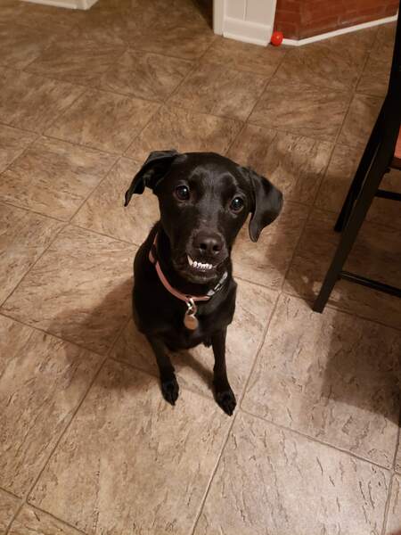 Barkley
