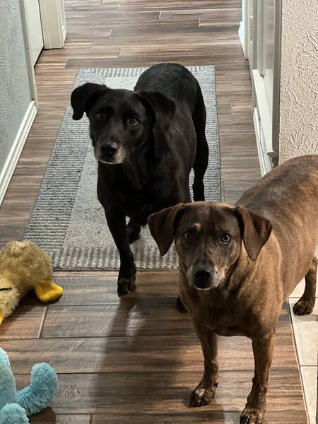 Stella & Kenzie