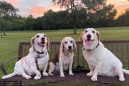 Oliver, Henry and Maybell