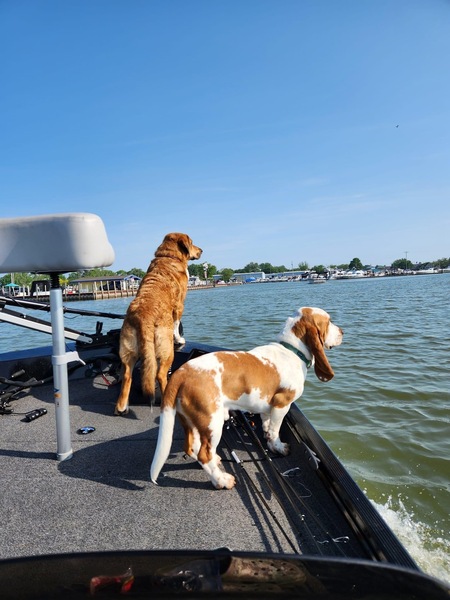 Captain Lilo and First Mate Tibby