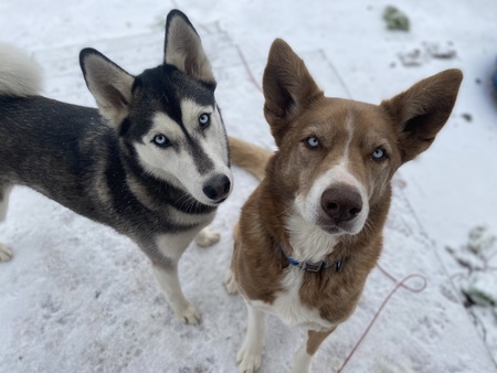 Winter and Rocky