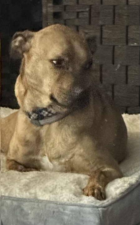 Entry image for Justice. Clicking this image will show a larger photo