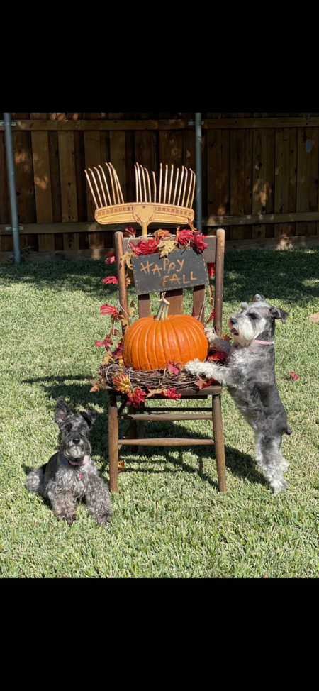 Mattie & Bella