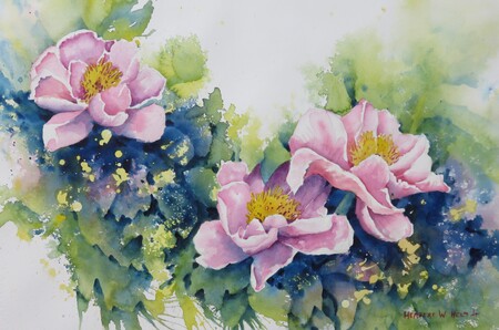 tree peonies